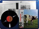 PINK FLOYD 