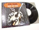 PETER WALKER Rainy Day Raga VANGUARD folk psych wlp dj VPI CLEAN HEAR mp3 LP