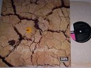 THE O'JAYS - COMIN THROUGH - LP - 12