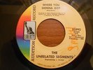PUNK / DETROIT GARAGE UNRELATED SEGMENTS-WHERE YOU GONNA GO LIBERTY 55992 PROMO