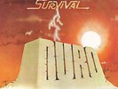 Ray Rodriguez And His Orchestra Survival   Near Mint  Salsa Y Guaguanco LP