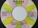 Rare Ohio Funk 45 WALLACE BROTHERS What-Cha Feel Is What-Cha Get on Walbro