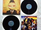 Counting Crows - This Desert Life 2xLP | RARE | OOP | MINT