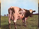 PINK FLOYD atom heart mother LP Mint- SKAO-382 Harvest 1970 Stereo USA