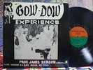 THE GOW-DOW EXPERIENCE Prof JAMES BENSON 1970'S PRIVATE JAZZ FUNK LP
