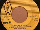 Motown R&B Soul 45 THE SUPREMES I Want a Guy / Never Again orig. Tamla #620 HEAR