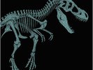JURASSIC PARK SOUNDTRACK 12