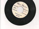 RARE Herb Zane 45 Music Maestros Persians Twist Twistin at the Pit TITTYSHAKER