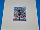talk talk: spirit of eden LP 1988 DUTCH RARE parlophone excellent copy