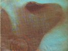 LP:Pink Floyd,Meddle(CLUB EDITION)[NM] (Harvest)