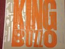 King Buzzo Acoustic Tour 7