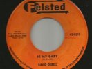 ROCKABILLY -- DAVID ORRELL-- BE MY BABY  HEAR BOTH-1958 FELSTED