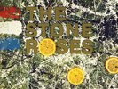 THE STONE ROSES SELF TITLED LP 25TH ANNIVERSARY UK EDITION MINT SEALED