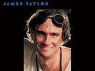 James Taylor - Dad Loves His Work 180g Vinyl LP