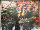 Out Of Print Jason Isbell And The 400 Unit S/T Drive By Truckers LP Vinyl
