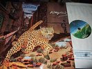 NUCLEUS : ALLEY CAT LP 1975 VERTIGO DE LUXE 6360124 UK