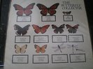 THE JAM RARE  BUTTERFLY  COLLECTOR 2 LP RECORDS