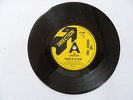 The Mickey Finn  Garden Of Your Mind 45RPM Single (7-inch) Original  Freakbeat