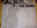 RARE PRIVATE LABEL PSYCH / GARAGE ( THE DAVID )1967 LP RECORD