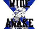 WIDE AWAKE Straight Edge CT. Hardcore Schism Rec. 1st Press OOP Youth Of Today