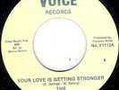 THE FOUR VOICES - YOUR LOVE IS GETTING STRONGER - VOICE - NORTHERN SOUL