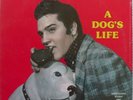 ELVIS PRESLEY   A DOG'S LIFE rare AUDIFON germany SEALED vinyl LP awesome