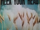 VA FLEX YOUR HEAD LP ORIG 1982 HC Minor Threat Teen Idles Void SOA Dischord XXX