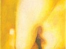 Pisces Iscariot - Smashing Pumpkins (2012, Vinyl New)