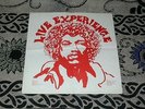 JIMI HENDRIX EXPERIENCE LP Live Experience   RARE PRIVATE   NOT TMOQ   NM