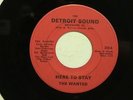 THE WANTED Here To Stay DETROIT SOUND  hear soundclip GARAGE