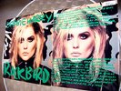 ANDY WARHOL 12” ART COVER DEBBIE HARRY rare green version