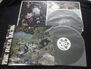 The Beta Band - The Beta Band 2x LP Vinyl Signed