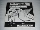 The Beaujolais Brothers - Here Comes Summer  PRIVATE INDIEPOP TWEE C86