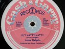 Junior Delgado - Fly Natty Natty 12