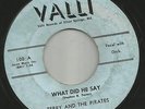 ROCKABILLY-- TERRY AND THE PIRATES  -HEAR BOTH- 1958 MARYLAND VALLI