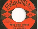 WAILERS 45  We're Goin' Surfin / Shakedown - NM