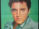 Elvis Presley - Rare Poster LP RCA 430.390 