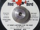 NORTHERN SOUL RODDIE JOY If there's anything else you want RED BIRD DJ LISTEN