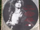 Led Zeppelin White Summer Picture Disc Live LP SF 69 Hamburg 1970 only 375 press