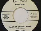 MACK RICE-BABY I'M COMING HOME-R&B NORTHERN 45 on LU PINE