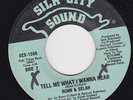 70'S SOUL 45 RPM - RONN & SELAH on SILK CITY SOUND RECORDS