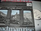 THE WALKABOUTS : DEAD MAN RISE LP 1992 SUB POP GERMANY