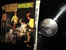 TOPS 1966 ORIG IN MONO   THE ANIMALS   ANIMALISM Garage ZAPPA R&B BEAT BURDON