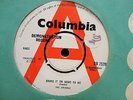 ANIMALS BRING IT ON HOME TO ME ORIG UK COLUMBIA 45 DEMO