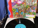 Boa Constrictor & Natural Vine - S/T LP UNPLAYED PROMO  Folk Psych