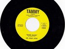 Ice Cold Love- Sheer Magic Wonderful To Be Loved 45 rare sweet soul Ohio Tammy
