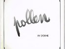 Pollen - Ry D'Oxhe 1978 (Private) Rare Prog Acid Folk Belgium