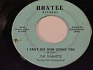 THE SUMMITTS Dontee 102 I CAN'T GET OVER LOSING YOU Vocal/Instrumental RARE-Hear