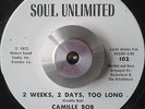 GREAT FUNK 2SIDER CAMILLE BOB Brother brown SOUL UNLIMITED LISTEN