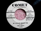 TERRY GEORGE NOW AND THEN VG+ RARE IST PRESSING COMET RARE PROMO  TEEN 45